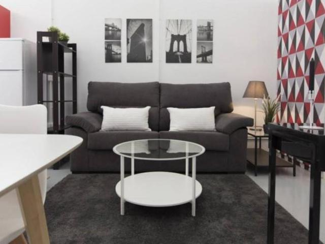 Apartamentos 1 Dormitorio Madrid Madrid ES103277694