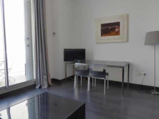 Apartamentos 1 Dormitorio Madrid Madrid ES103277991