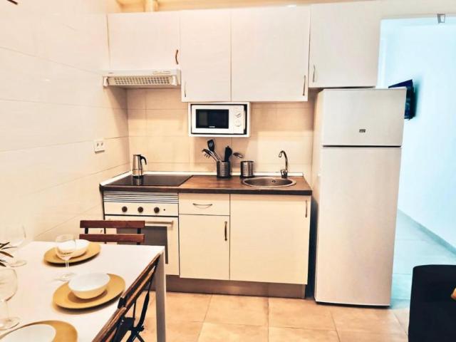 Apartamentos 1 Dormitorio Madrid Madrid ES103278425