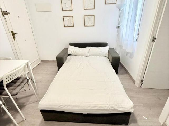 Apartamentos 1 Dormitorio Madrid Madrid ES103278564