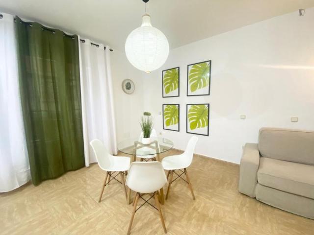 Apartamentos 1 Dormitorio Madrid Madrid ES103278738