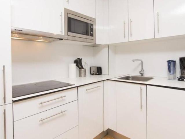 Apartamentos 1 Dormitorio Madrid Madrid ES103278089
