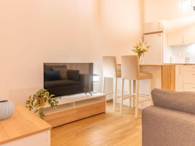 Apartamentos 1 Dormitorio Madrid Madrid ES103280030