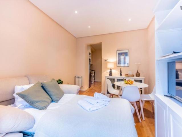 Apartamentos 1 Dormitorio Madrid Madrid ES103281618