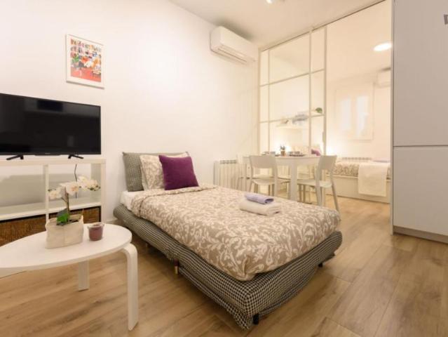 Apartamentos 1 Dormitorio Madrid Madrid ES103281745
