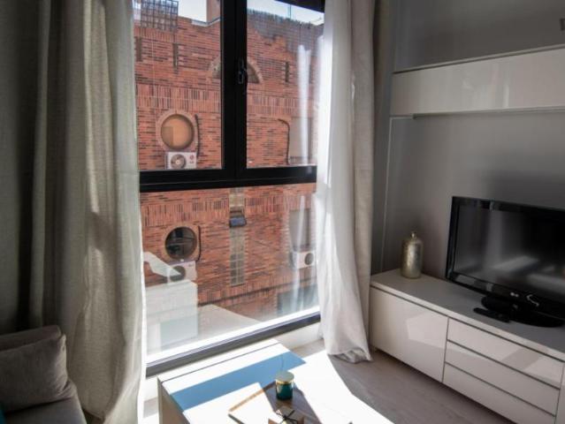 Apartamentos 1 Dormitorio Madrid Madrid ES103282460