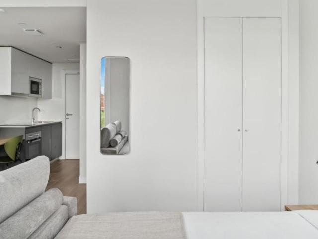 Apartamentos 1 Dormitorio Madrid Madrid ES103301660
