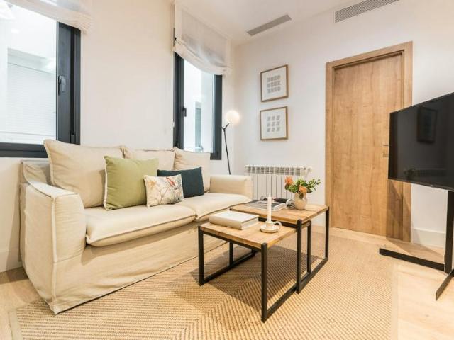Apartamentos 1 Dormitorio Madrid Madrid ES103372669