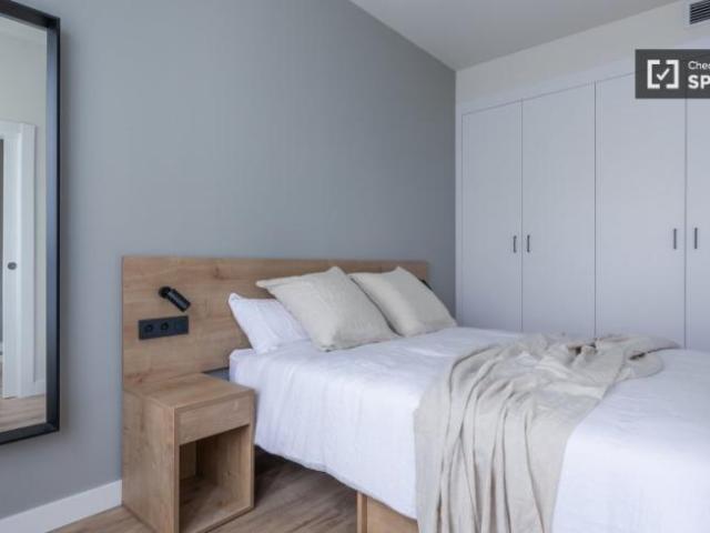 Apartamentos 1 Dormitorio Madrid Madrid ES103372253