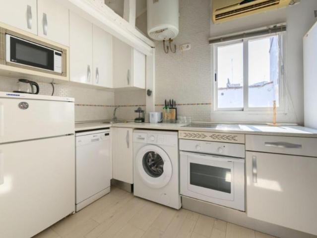Apartamentos 1 Dormitorio Madrid Madrid ES103380193