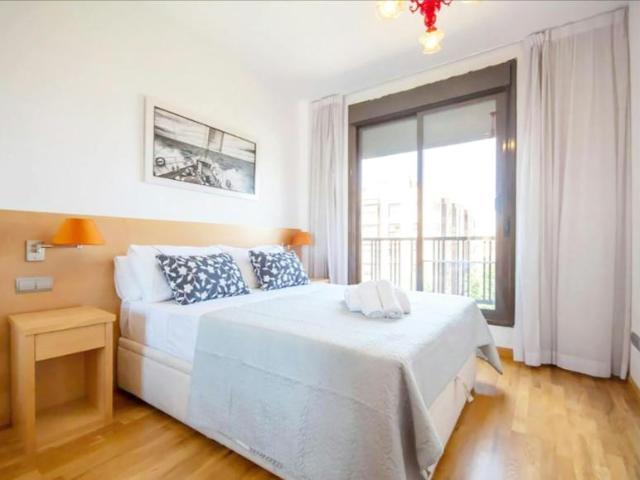 Apartamentos 1 Dormitorio Madrid Madrid ES104435836