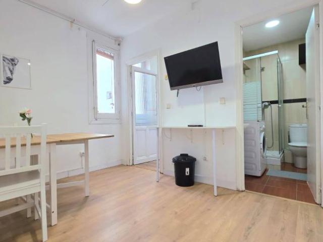 Apartamentos 1 Dormitorio Madrid Madrid ES104474222