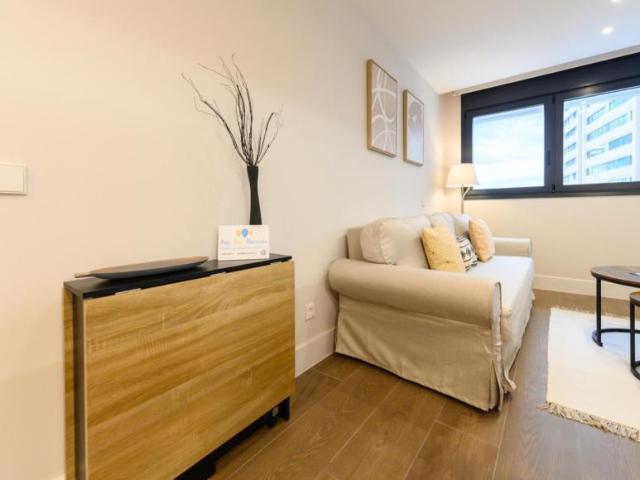 Apartamentos 1 Dormitorio Madrid Madrid ES104682073