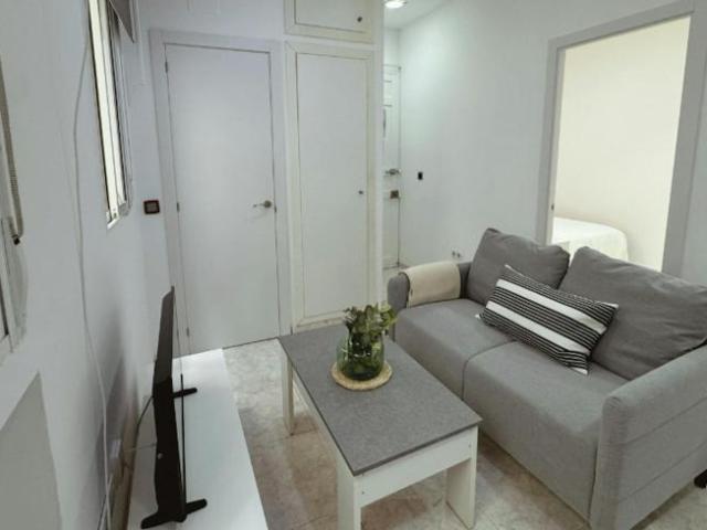 Apartamentos 1 Dormitorio Madrid Madrid ES104783835