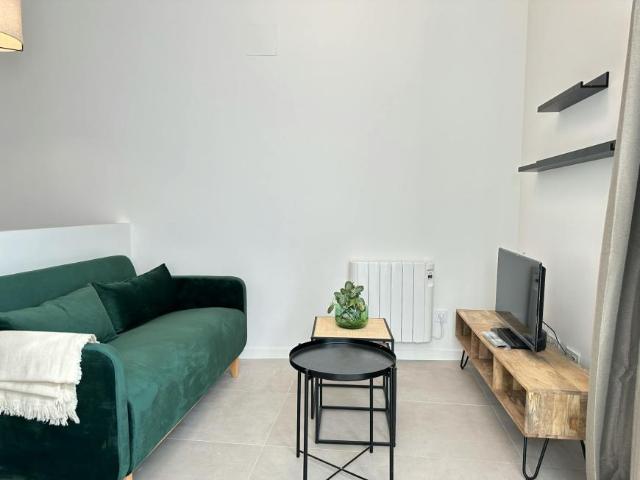 Apartamentos 1 Dormitorio Madrid Madrid ES104783836