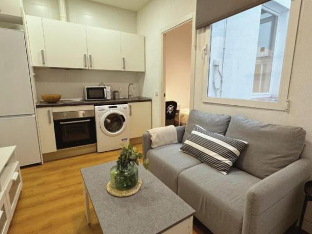 Apartamentos 1 Dormitorio Madrid Madrid ES104794902