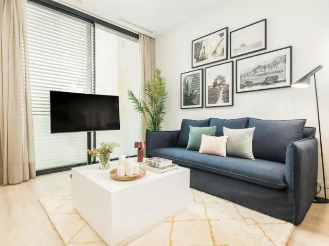 Apartamentos 1 Dormitorio Madrid Madrid ES104002889