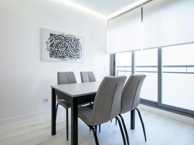 Apartamentos 1 Dormitorio Madrid Madrid ES104143650