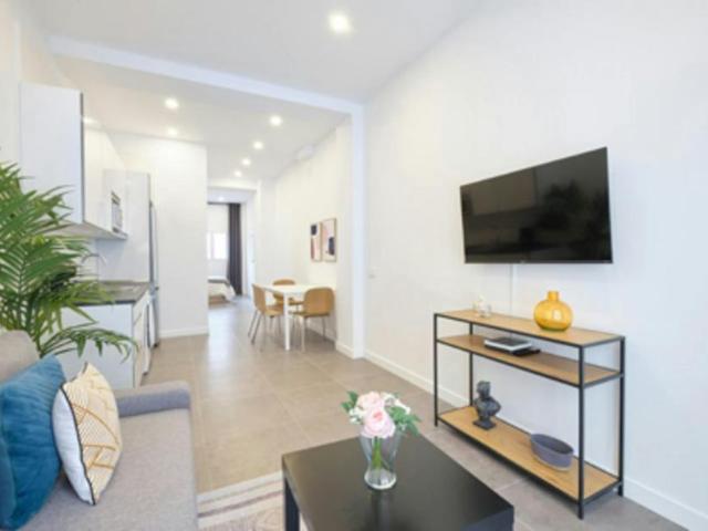 Apartamentos 1 Dormitorio Madrid Madrid ES104182172