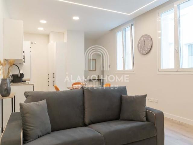 Apartamentos 1 Dormitorio Madrid Madrid ES104226269