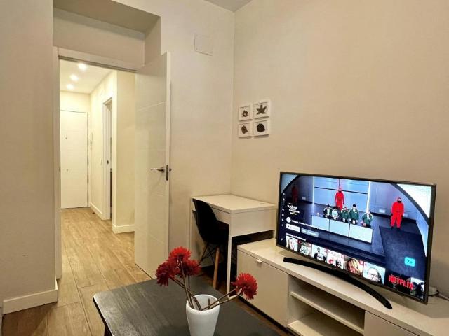 Apartamentos 1 Dormitorio Madrid Madrid ES104364726
