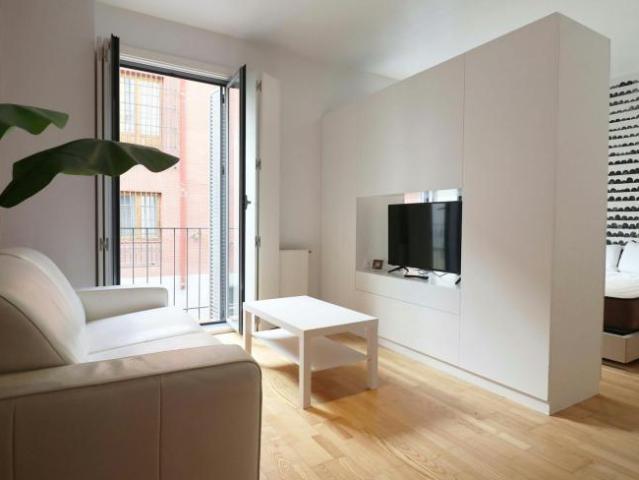 Apartamentos 1 Dormitorio Madrid Madrid ES104364802