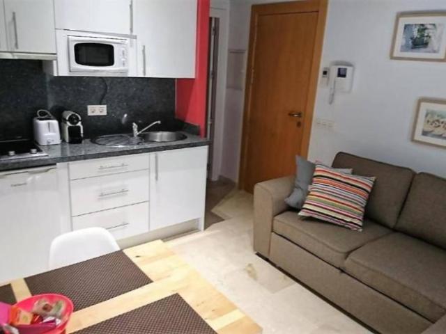 Apartamentos 1 Dormitorio Malaga Malaga ELS100089075