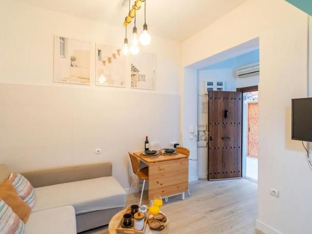 Apartamentos 1 Dormitorio Málaga Málaga ELS100214859