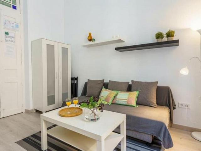 Apartamentos 1 Dormitorio Málaga Málaga ES68916165