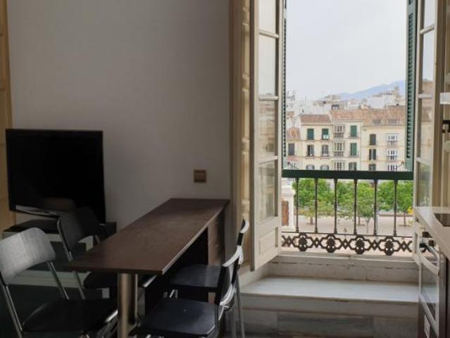 Apartamentos 1 Dormitorio Málaga Málaga ES77950727