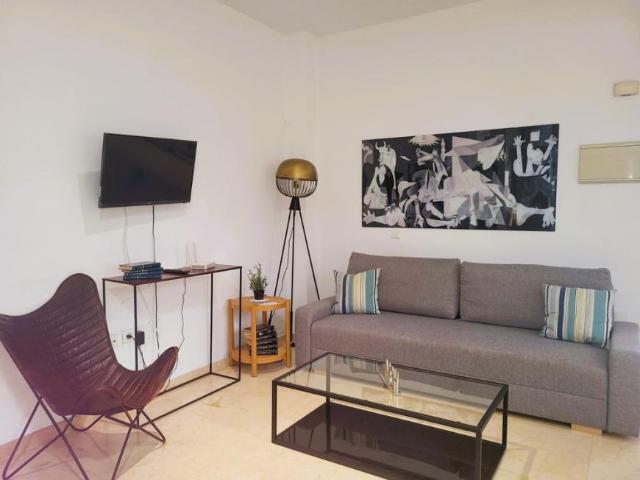 Apartamentos 1 Dormitorio Málaga Málaga ES77950724