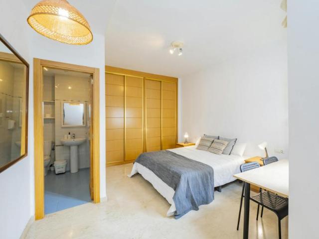 Apartamentos 1 Dormitorio Málaga Málaga ES93424190