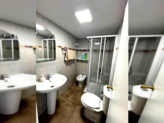 Apartamentos 1 Dormitorio Malaga Malaga ES94149779