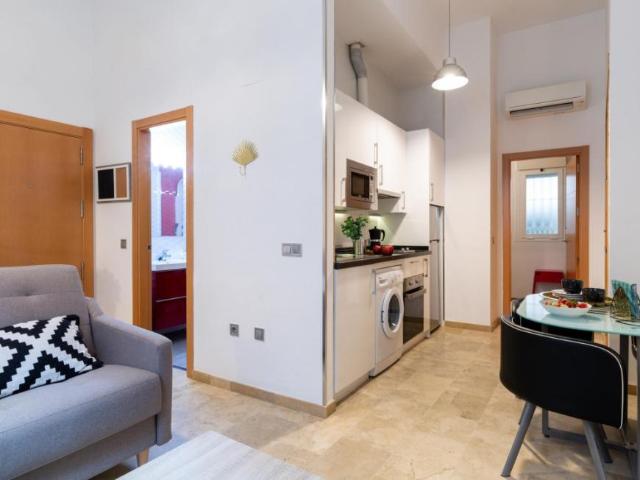 Apartamentos 1 Dormitorio Málaga Málaga ES94861231