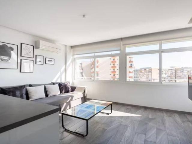 Apartamentos 1 Dormitorio Malaga Malaga ES95122756