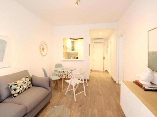 Apartamentos 1 Dormitorio Málaga Málaga ES95901888