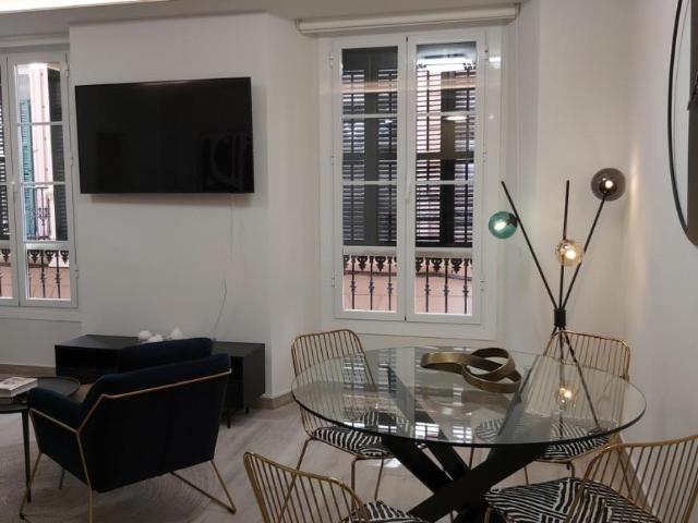 Apartamentos 1 Dormitorio Málaga Málaga ES95901896