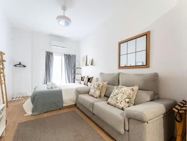 Apartamentos 1 Dormitorio Málaga Málaga ES97912651