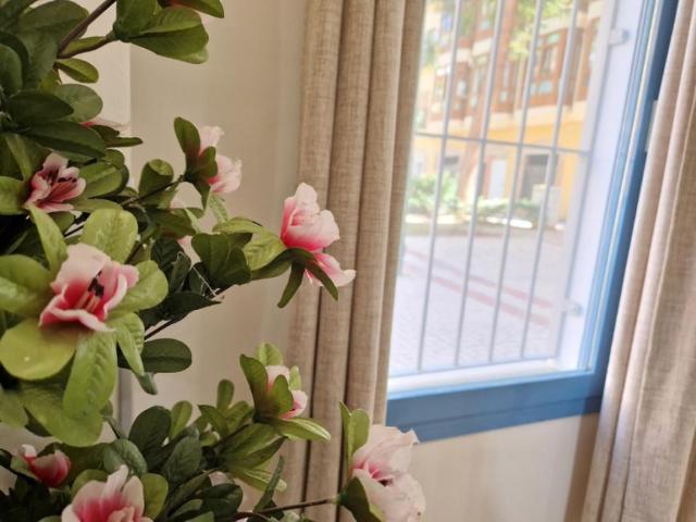 Apartamentos 1 Dormitorio Málaga Málaga ES99382663