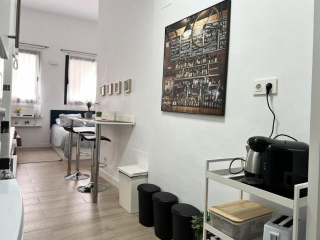 Apartamentos 1 Dormitorio Málaga Málaga ES101566629