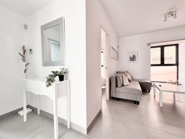 Apartamentos 1 Dormitorio Málaga Málaga ES101566663