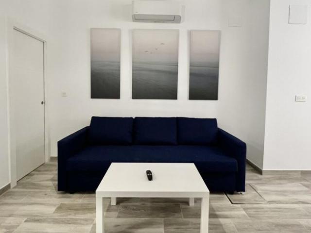 Apartamentos 1 Dormitorio Málaga Málaga ES101566679