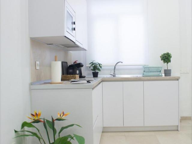 Apartamentos 1 Dormitorio Málaga Málaga ES101655015
