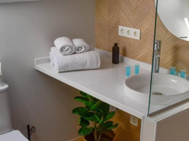 Apartamentos 1 Dormitorio Malaga Malaga ES101693317