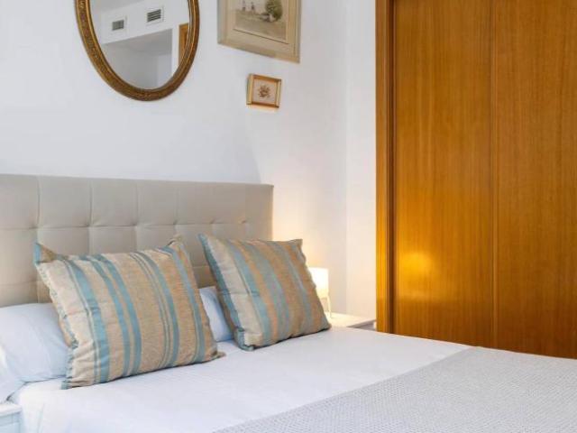 Apartamentos 1 Dormitorio Malaga Malaga ES101771368