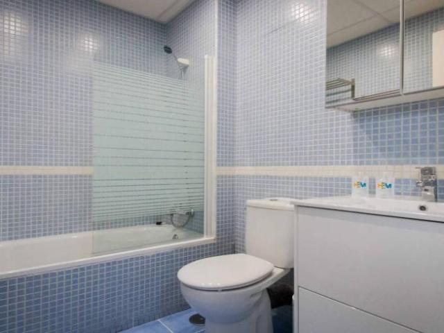 Apartamentos 1 Dormitorio Malaga Malaga ES101772181