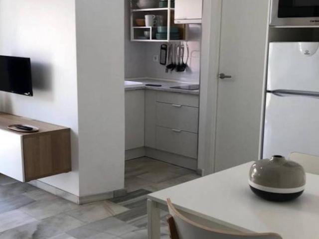 Apartamentos 1 Dormitorio Malaga Malaga ES101822264