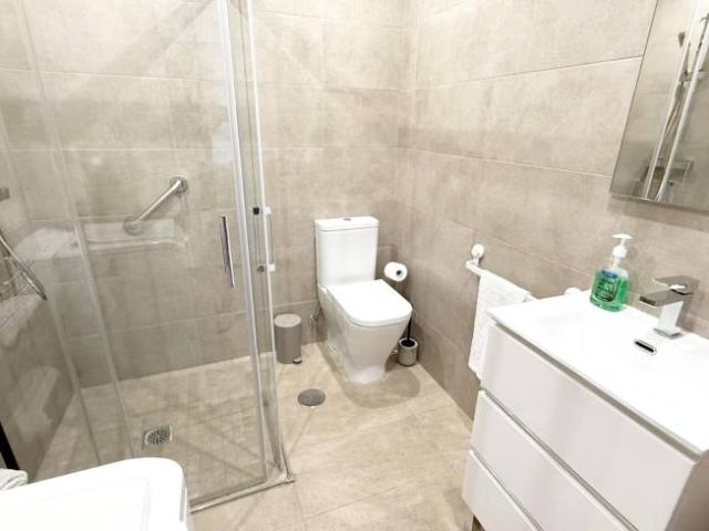 Apartamentos 1 Dormitorio Malaga Malaga ES103597523