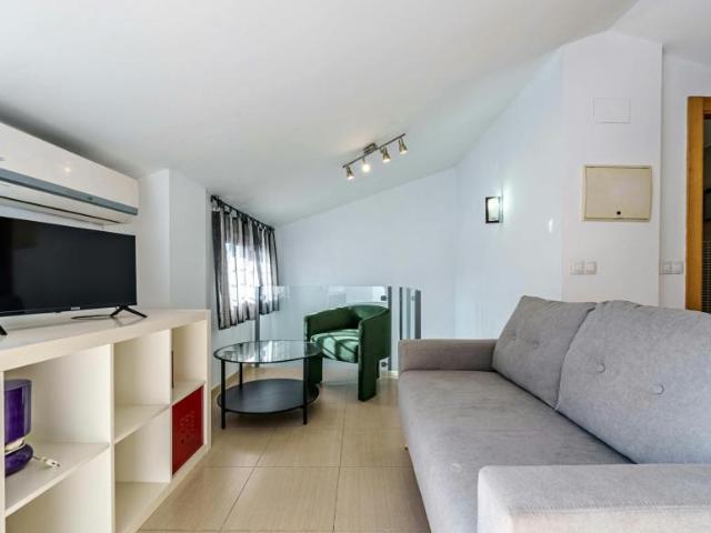 Apartamentos 1 Dormitorio Málaga Málaga ES103696006
