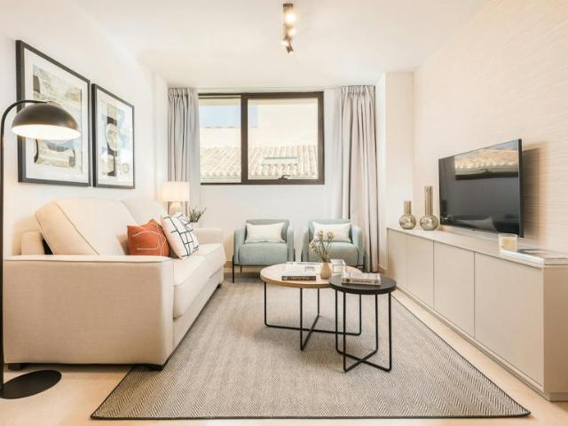 Apartamentos 1 Dormitorio Málaga Málaga ES103960073